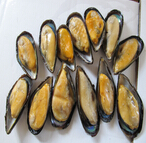 cookedbluemusselmeat