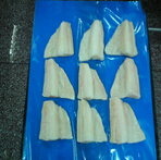 haddock