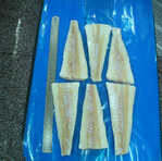 haddock