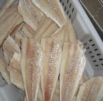 haddock