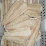 haddock