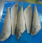 haddock