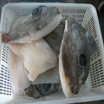 johndory