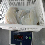 johndory