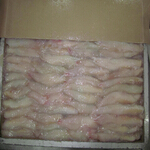 monkfish