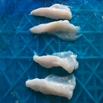 monkfish