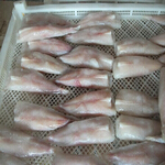 monkfish