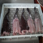 monkfish