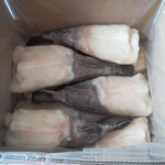 monkfish
