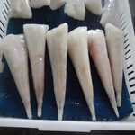 monkfish