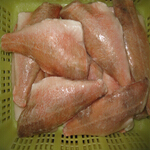 redfish