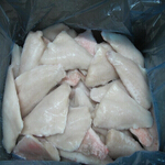 redfish