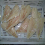 redfish
