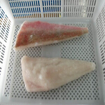 redgurnard