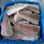 redgurnard