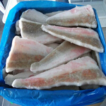 redgurnard