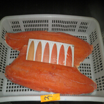 salmon