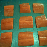 salmon