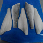 seabass