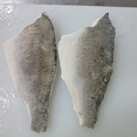 seabass