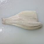 seabass
