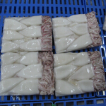 squid