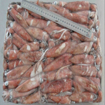 squid