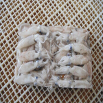 squid