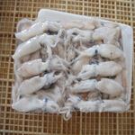 squid