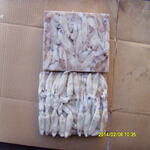 squid