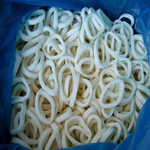squid