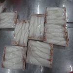 squid