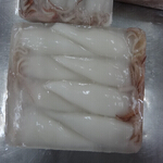 squid