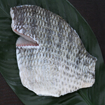 tilapia