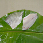 tilapia