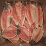 tilapia