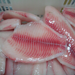 tilapia